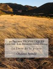 30 Prieres Prophetiques Contre Les Benedictions Delai