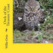 Owls of the Treasure Coast