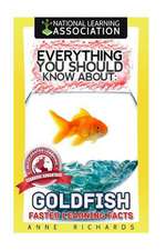 Everything You Should Know about Goldfish