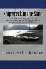 Shipwreck in the Sand