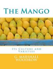 The Mango