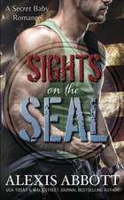 Sights on the SEAL