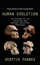 Forbes, S: Human Evolution