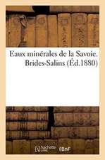 Eaux Minérales de la Savoie. Brides-Salins