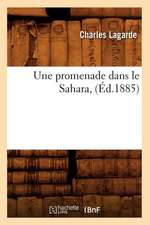 Une Promenade Dans Le Sahara (Ed.1885)