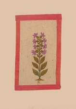 Carnet Fleur 2, Miniature Indienne 18e Siecle