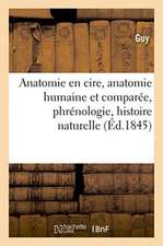 Anatomie En Cire, Anatomie Humaine Et Comparée, Phrénologie, Histoire Naturelle