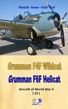 Grumman F4F Wildcat - F6F Hellcat