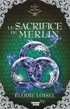 Loisel, E: Secret des Druides