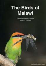 Dowsett-Lemaire, F: The Birds of Malawi