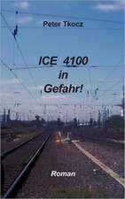 ICE 4100 in Gefahr