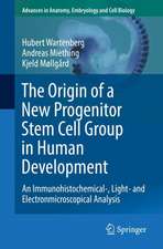 The Origin of a New Progenitor Stem Cell Group in Human Development: An Immunohistochemical-, Light- and Electronmicroscopical Analysis