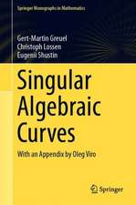 Singular Algebraic Curves: With an Appendix by Oleg Viro