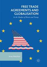 Free Trade Agreements and Globalisation: In the Shadow of Brexit and Trump