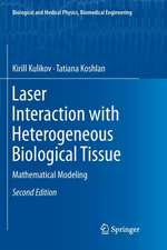 Laser Interaction with Heterogeneous Biological Tissue: Mathematical Modeling