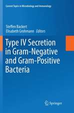 Type IV Secretion in Gram-Negative and Gram-Positive Bacteria