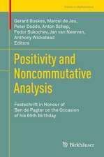 Positivity and Noncommutative Analysis: Festschrift in Honour of Ben de Pagter on the Occasion of his 65th Birthday