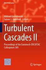 Turbulent Cascades II: Proceedings of the Euromech-ERCOFTAC Colloquium 589