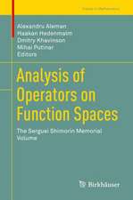 Analysis of Operators on Function Spaces: The Serguei Shimorin Memorial Volume