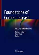 Foundations of Corneal Disease: Past, Present and Future