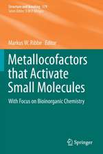 Metallocofactors that Activate Small Molecules: With Focus on Bioinorganic Chemistry