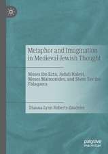 Metaphor and Imagination in Medieval Jewish Thought