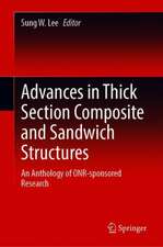 Advances in Thick Section Composite and Sandwich Structures