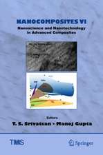 Nanocomposites VI: Nanoscience and Nanotechnology in Advanced Composites