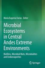 Microbial Ecosystems in Central Andes Extreme Environments