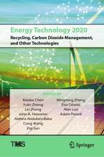 Energy Technology 2020: Recycling, Carbon Dioxide Management, and Other Technologies