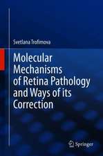 Molecular Mechanisms of Retina Pathology and Ways of its Correction