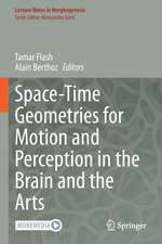 Space-Time Geometries for Motion and Perception in the Brain and the Arts