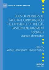 Does EU Membership Facilitate Convergence? The Experience of the EU's Eastern Enlargement - Volume II: Channels of Interaction