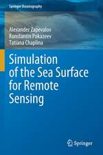 Simulation of the Sea Surface for Remote Sensing