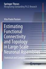 Estimating Functional Connectivity and Topology in Large-Scale Neuronal Assemblies: Statistical and Computational Methods