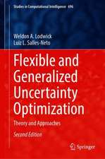 Flexible and Generalized Uncertainty Optimization: Theory and Approaches