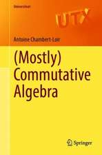 (Mostly) Commutative Algebra