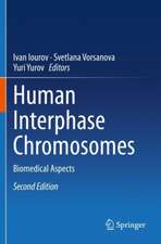 Human Interphase Chromosomes: Biomedical Aspects