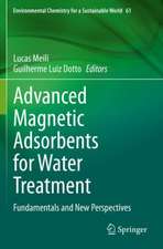 Advanced Magnetic Adsorbents for Water Treatment