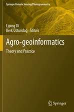 Agro-geoinformatics: Theory and Practice