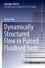 Dynamically Structured Flow in Pulsed Fluidised Beds