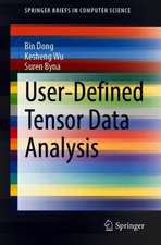 User-Defined Tensor Data Analysis