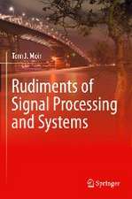 Rudiments of Signal Processing and Systems