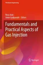 Fundamentals and Practical Aspects of Gas Injection