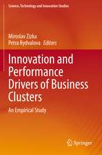 Innovation and Performance Drivers of Business Clusters: An Empirical Study