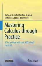 Mastering Calculus through Practice: A Study Guide with over 300 Solved Exercises