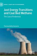 Just Energy Transitions and Coal Bed Methane: The case of Indonesia