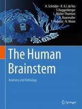 The Human Brainstem: Anatomy and Pathology