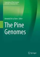 The Pine Genomes