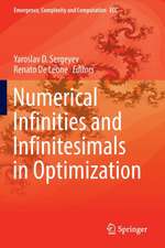 Numerical Infinities and Infinitesimals in Optimization